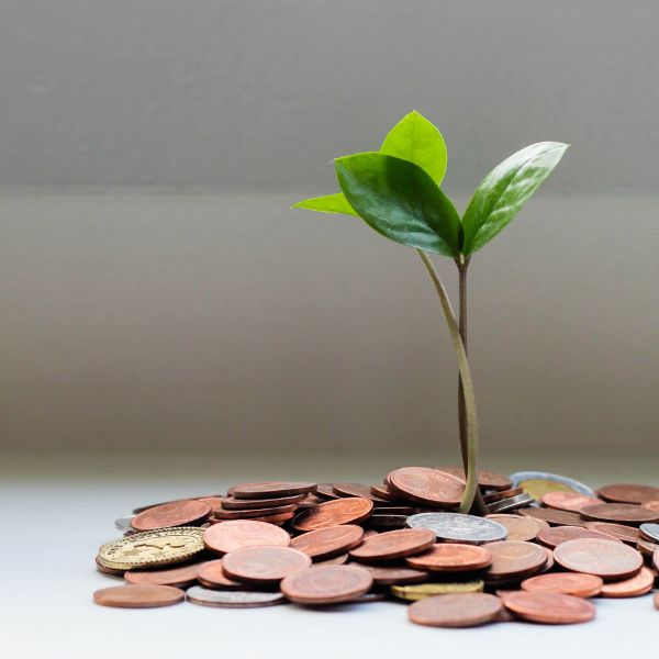 Shift From Lack to Abundance