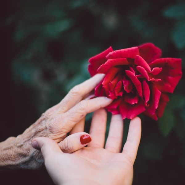 AgingGracefully-1.jpg Aging Gracefully