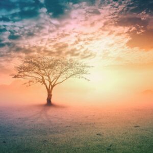 Discovering Your True Purpose