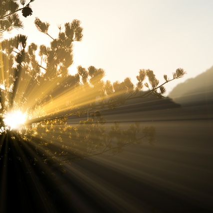 Embracing-the-Light-1.jpg Embracing the Light