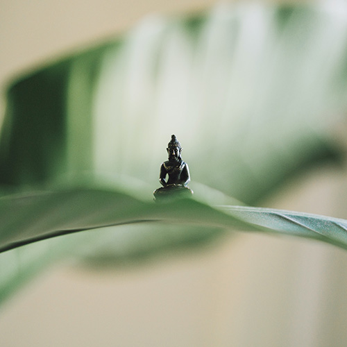 EmbracingWhatIs-square-1.jpg Embracing What Is