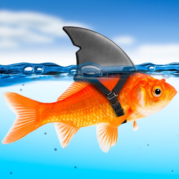 Faking-It-To-Make-It-MEMBERSHIP.jpg Faking It Till You Make It