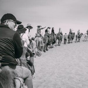 Following the Herd