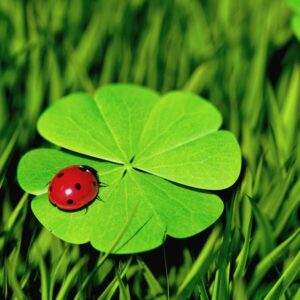 Get Lucky!