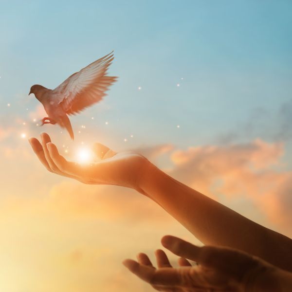 xr:d:DAF6MBi1Mx4:3,j:8660837905244414954,t:24011800 Letting Go of Regrets