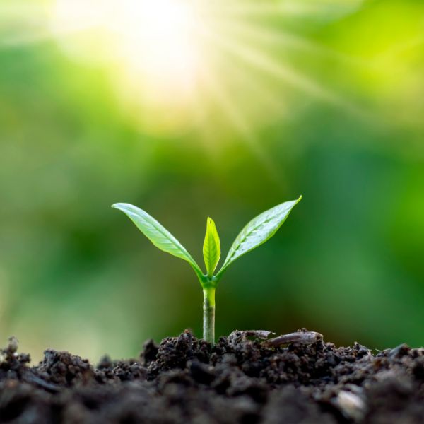 New beginnings Awaken to Your Higher Potential