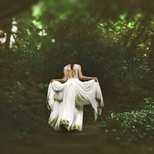 The 4 Pillars of the Old Paradigm: Act III Finale- The New Paradigm