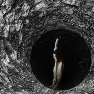 Clearing the Well of Grief