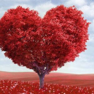 Self Love Package