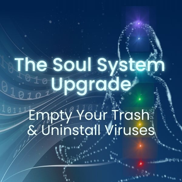 TRASH - MEMBERSHIP Soul System Upgrade: Empty Your Trash & Uninstall Viruses